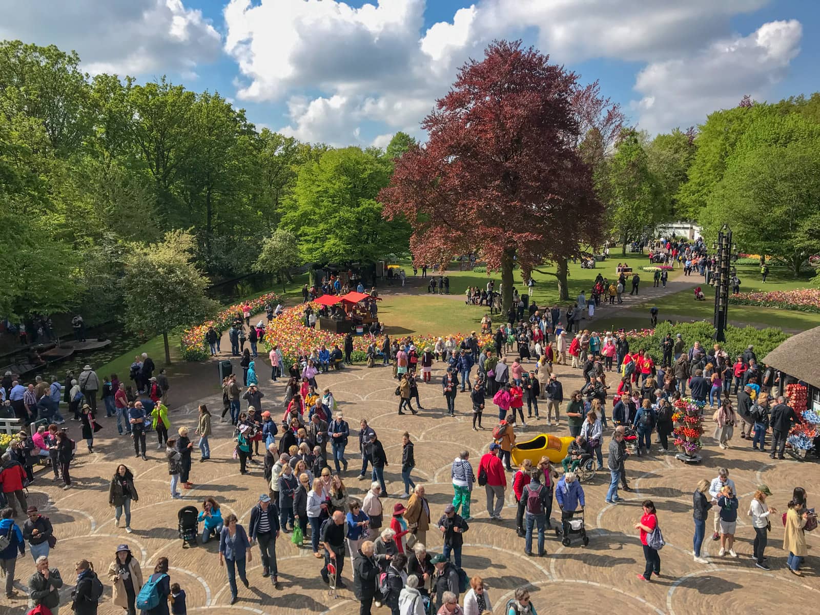 A high vantage view of a crowd of people scattered in the open walkable area of a park. In the distance some arrangements of tulips can be seen, and the trees in the park are very green apart from one dark red one in the centre. It is a relatively sunny day