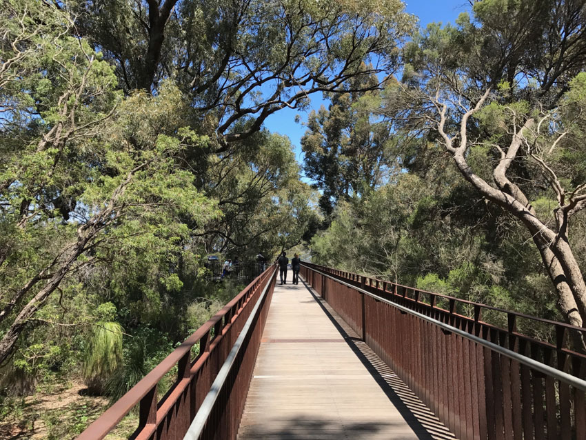 Beginning the walk down the Lotterywest Federation Walkway, a wooden bridge