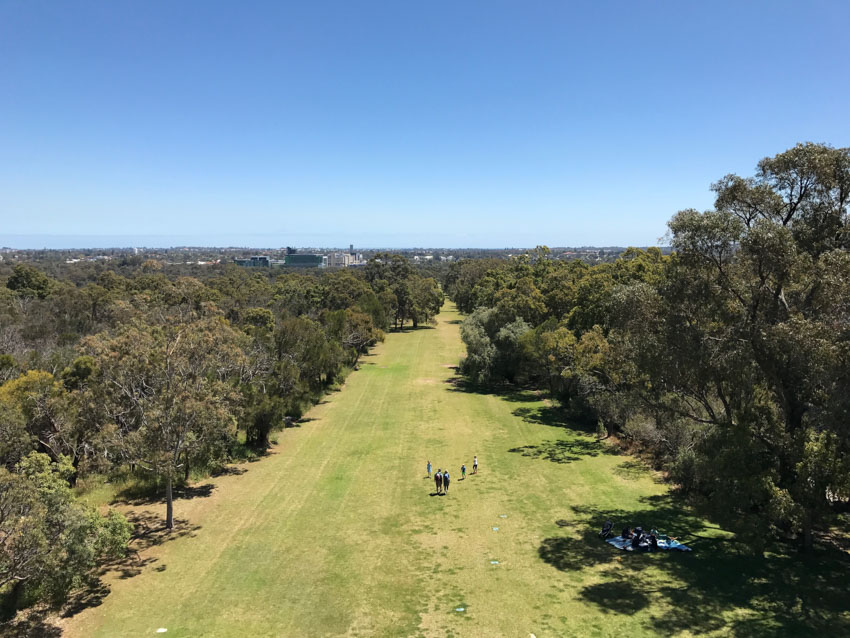 A view of the green lawn from on top of the DNA tower